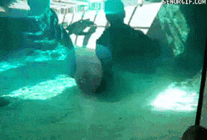 This Matinee bump is the cutest thing ever – check out more viral funny GiFs!