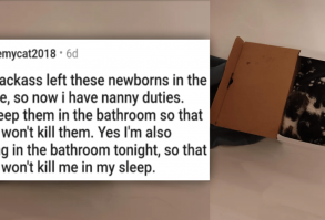 Cat Medley: Cuteness Galore, Funnies, Rescues, And Appreciation