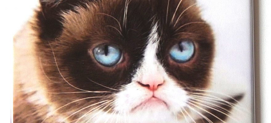 This is a brand new fridge magnet made of metal and hard plastic. Available in 3 different sizes. Choose size at checkout.