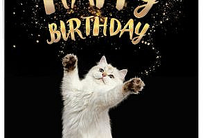 J6112ABD - Cat-Sent Greetings: Jumbo Printed Card - TheBestCardCompan...