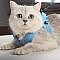 FEATURES     【 Safer than Leashes】:  Unlike leashes that have the tendency to strain your pets neck, this safety harness evenly distributes the pressure around the chest to prevent any kind of choking.   【Comfortableness is the first priority】:  This escape proof cat harness is made of lightweight, soft, breathable air-mesh fabric, with soft edge that effectively prevent injuries, giving extra comfort and protection, your cat vest won’t be too bulky to restrain your cat’s movement or overheat your lovely 