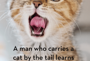 Catch 22: Cat Quotes That Sum Up Cats Purr-fectly - I Can Has Cheezburger?
