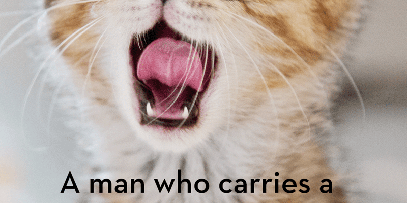 Catch 22: Cat Quotes That Sum Up Cats Purr-fectly - I Can Has Cheezburger?