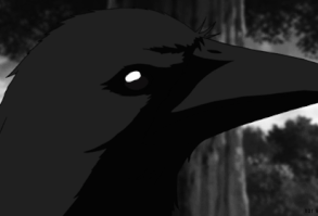 Itachi’s crow - Naruto Shippūden