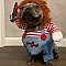 Chucky Dog Costume - best Costumes for Small Dogs.- Funny #dogs #pets #animal #halloween video credit: Chucky Dog