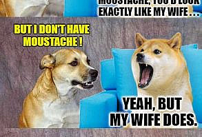 Dad Joke Doge | IF IT WERE'NT FOR THE MOUSTACHE, YOU'D LOOK EXACTLY LIKE MY WIFE . . . BUT I DON'T HAVE MOUSTACHE ! YEAH, BUT MY WIFE DOES. WHAT ARE YE THIN | image tagged in dad joke doge | made w/ Imgflip meme maker