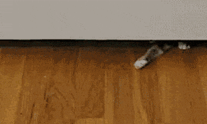 If only humans were this capable...