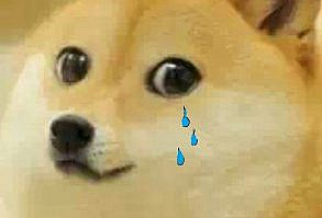 wow doge gif =D this is the best, I think I've never laughed so hard!