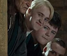 Идеи на тему «Draco» (32) в 2022 г | драко малфой, драко, том фелтон