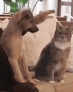 Dude, to rough.