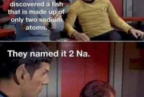 Dumb Jokes and Funny Memes to Turn Your Brain Off With - Funny Gallery