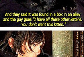 The story of Norman Reedus & Eye In The Dark: