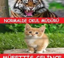 En komik okul capsleri