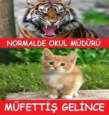 En komik okul capsleri