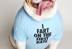 I fart on the first date. Crew neck dog shirt, perfect for any four-legged friend. Measure your dog's chest at the thickest part around. If you're between sizes, go with the larger size. FLIP IT AND REVERSE IT! Every dog tee is fully reversible and can be worn with the design on the back or front.