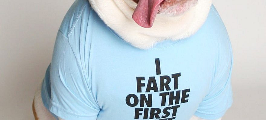 I fart on the first date. Crew neck dog shirt, perfect for any four-legged friend. Measure your dog's chest at the thickest part around. If you're between sizes, go with the larger size. FLIP IT AND REVERSE IT! Every dog tee is fully reversible and can be worn with the design on the back or front.