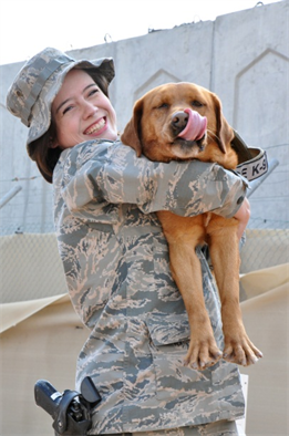 Former Marine military working dog finds new life in the AF > U.S. Air Force > Article Display” width=”261″ height=”394″ /></p><div class='code-block code-block-4' style='margin: 8px auto; text-align: center; display: block; clear: both;'> <ins class=