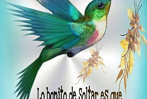 Fotos De Barbara Calvett Em Enquetes Em 2021 | Frases De