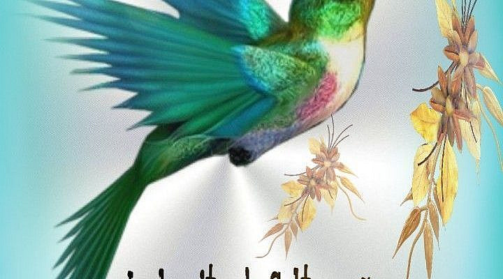 Fotos De Barbara Calvett Em Enquetes Em 2021 | Frases De