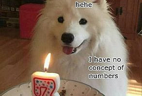 Funny Animal Pics Of The Day – Wackyy Picdump 7 (70 Photos)-16