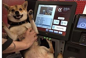 Funny Animal Picture Dump Of The Day 20 Pics