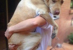 Funny Animals More Afraid of Spiders than You Are