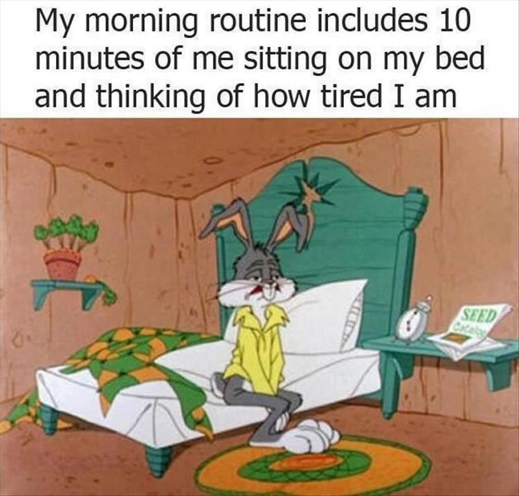 Funny Pictures Of The Day – 38 Pics