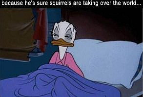 Funny Pictures Of The Day 40 Pics