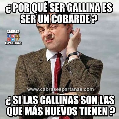 Gallina es cobarde y no lo entiendo