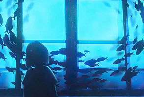 ↑↑ click TITLE for EASY DOWNLOAD↑↑