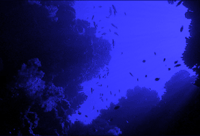 ❝¿De verdad crees que te dejaría?❞ ❝Eres mi vida, pero si no quieres… #fanfic # Fanfic # amreading # books # wattpad