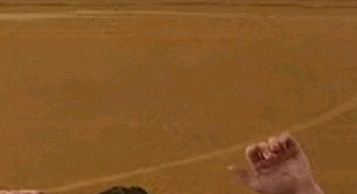 Hahahaha I love mommy Steve! in 2022 | Stranger things funny, Stranger things tv, Stranger things characters