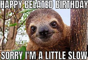 happy belated birthday meme sloth