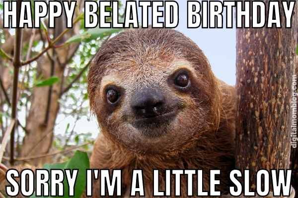happy belated birthday meme sloth