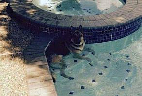 Here Are The 50 Best Photos This Week - Suburban Men