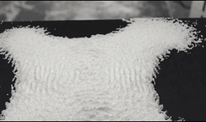 İnsan Ufkunu İki Katına Çıkaracak İzlemeye Doyulmayan 30 GIF