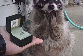 Je craque pour lui ! ⋆ 15Heures.com