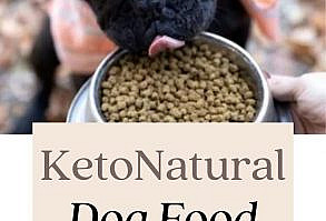 Your Dog Wasn't Built To Eat Carbs. Feed Her As Nature Intended With Ketona, The World's First Truly Low-Carb Kibble. Read More Here! #KetoPetFoods #KetogenicPetFood #KetoKibble