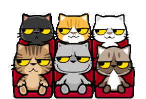 貓爪抓 -你抓我抓-