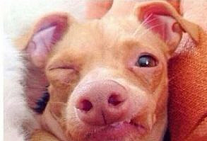 Las 32 situaciones que todos hemos vivido alguna vez