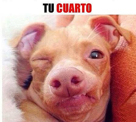 Las 32 situaciones que todos hemos vivido alguna vez