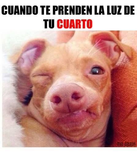 Las 32 situaciones que todos hemos vivido alguna vez