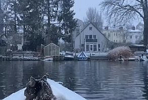 while the snow is falling