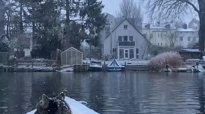 while the snow is falling