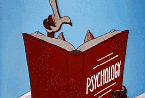 In this episode of “This or That?”, Psychology vs Applied Psychology! As Phoebe uncovered in her last blog post, there is a lot of overlap between programs at NYU, however, each program is very different in its approach. Since the … Continue reading →