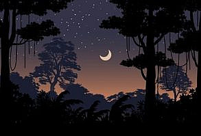 Displate is a one-of-a-kind metal poster designed to capture your unique passions. Sturdy, magnet mounted, and durable – not to mention easy on the eyes!