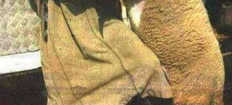 Mizahıyla Beraber Gelen Kurban Bayramı'ndan 19 Komik Caps- Onedio.com