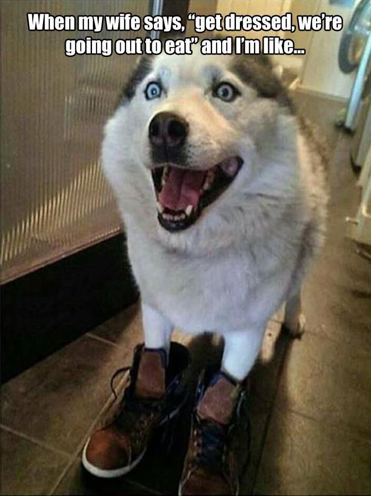 Morning Funny Picture Dump 34 Pics