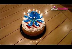 Official Mobile Website of Original Lotus Candles Brand. Lotus Candles are amazing birthday candles that open like flowers and light up, rotate, and play the Happy Birthday tune!