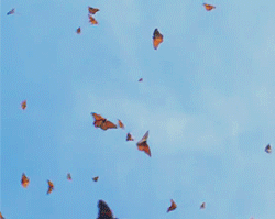 "Pardon bir şey sorabilir miyim?" dedim çocuğa bakarak. Tam karşıma … #ge...